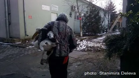 в Спасителния център за диви животни