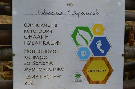 Each of the three finalists in Online publication category received a certificate