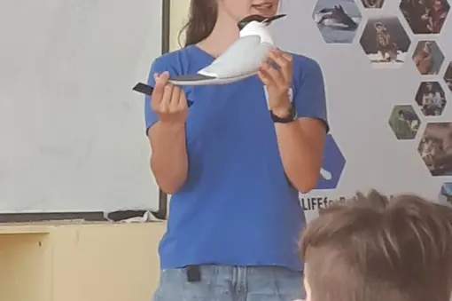 ***