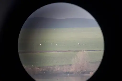 Ден на влажните зони в района на Стара Загора