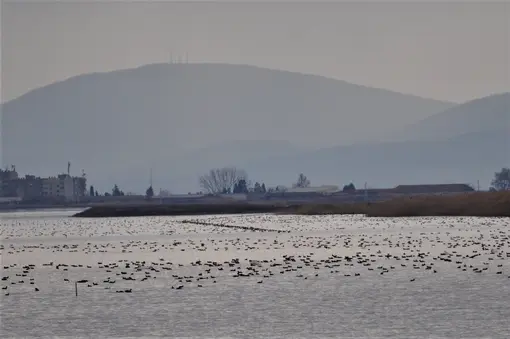 Pomorie lake