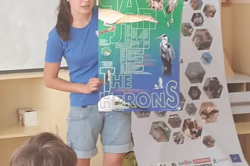 ***