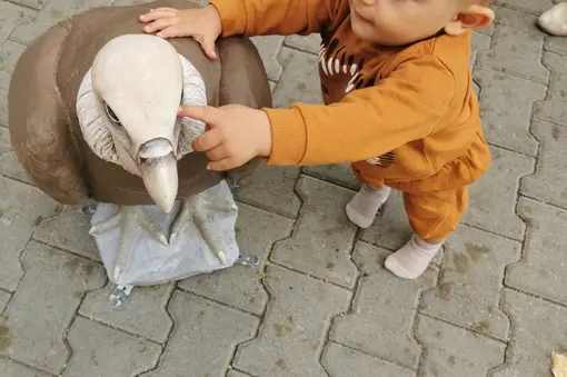 ***