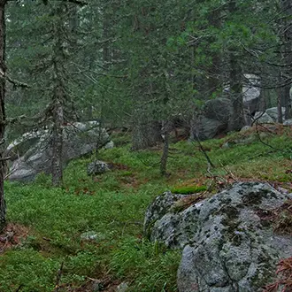Към сайта на Зелени Балкани