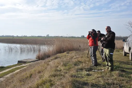 The census in the area of Durankulak and Shabla lakes was conducted under good weather conditions.