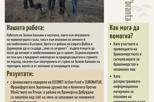 Изложбено табло за опазването на вида