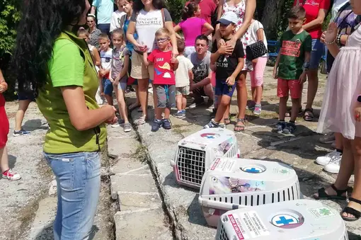 ***