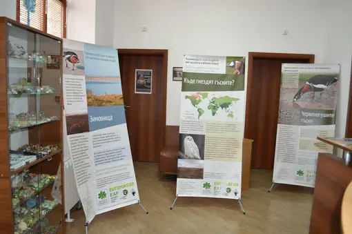 Exhibition in the Green Center in Shabla 