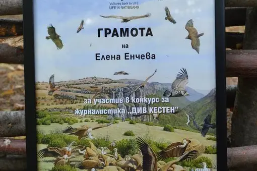 All awarded received certificates under the vultures project