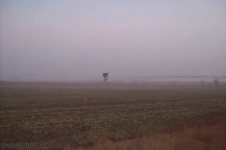 Мъгливо утро при Дуранкулак