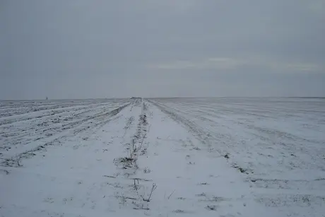 Безкрайни зимни полета