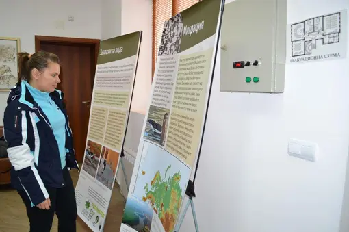 The exhibition about the Red-breasted Geese can be seen in Shabla until the end of February 2015 