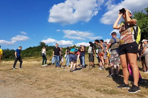We watched Griffon, Black and Egyptian vultures 