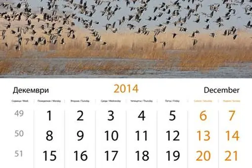 Kалендар с фотографии на Емил Eнчев 2014 - месец декември